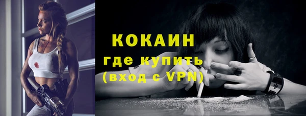 ешки Белокуриха