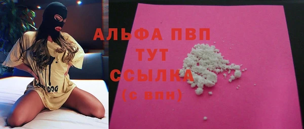 ешки Белокуриха