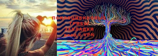 ешки Белокуриха