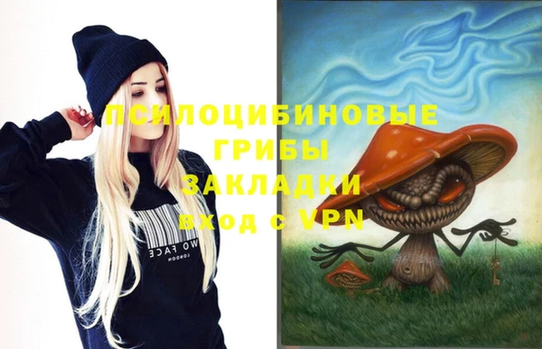 ешки Белокуриха