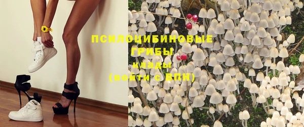 spice Беломорск
