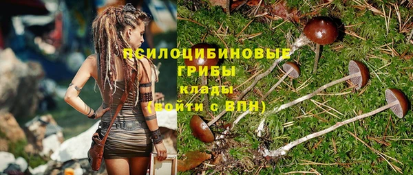 spice Беломорск