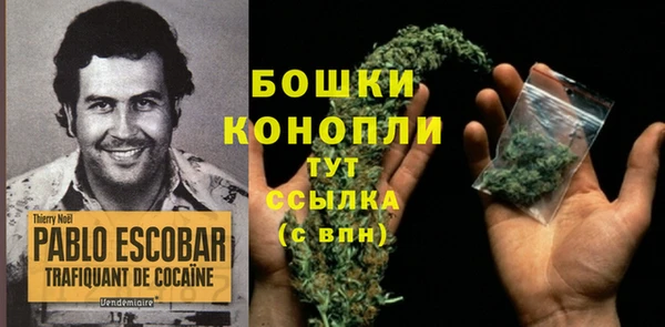 ешки Белокуриха