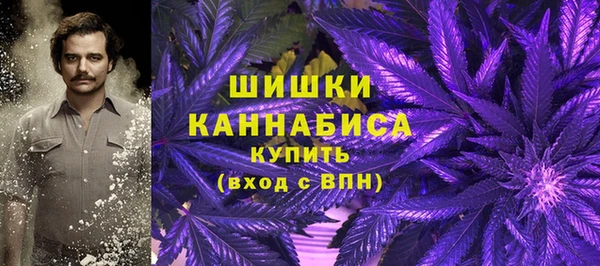 spice Беломорск